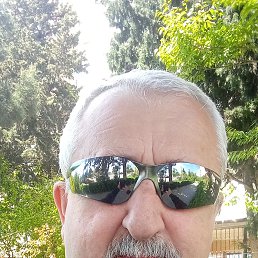 , 65, 