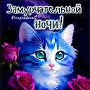 ���� �������, ������, 45 ��� - ��������� 29 ������ 2026 � ������ ������ ��������