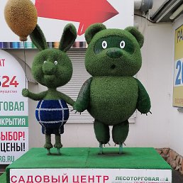 ���� ��, ����, 40 ��� - ��������� 26 ������ 2024