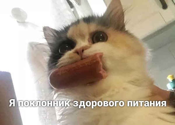  )