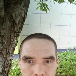 , 40 , -