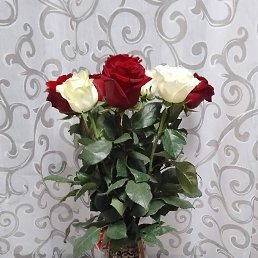 ���� �����, ���������, 52 ���� - ��������� 12 ����� 2026