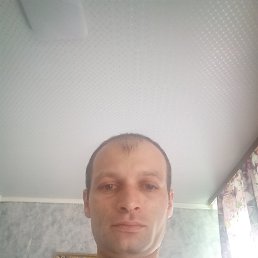 , 34, 