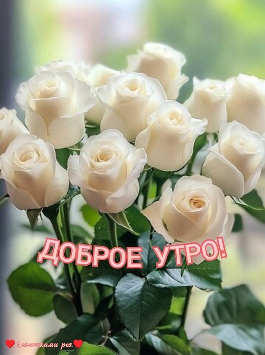   ,    . - 10  2025  23:43