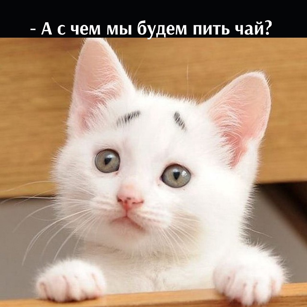       - 31  2025  12:28 - 3