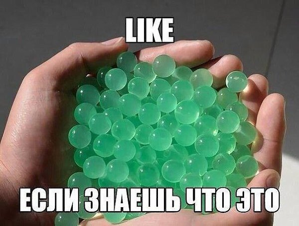 ? ,  ! - 1  2024  04:23