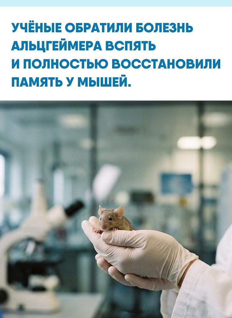�o�ee c�a �e� c���a�oc�, ��o �����e��ep �eo�pa���: �o��o ���� �a�e����� pa�����e �e�e����, �o �e ...