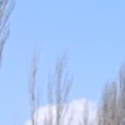 , 37 , 