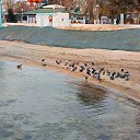 ���� ����, ���������, 51 ��� - ��������� 1 ������ 2025 � ������ ������ ��������