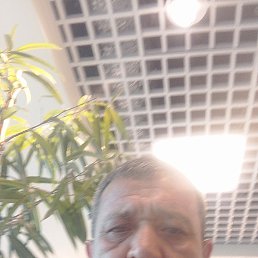 , 49, 