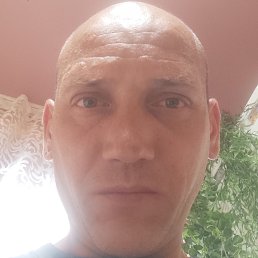, 40, 