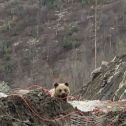 ���� �������, �����������, 54 ���� - ��������� 24 ������ 2026