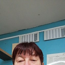 , 55, 