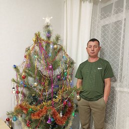 ������, 41 ���, ���������