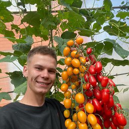 , 21 , 