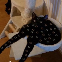 ���, ���������, 23 ����