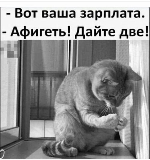   - 1  2024  15:58