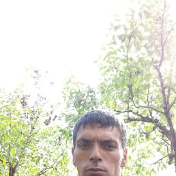 , 38, 