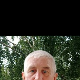 , 61, 
