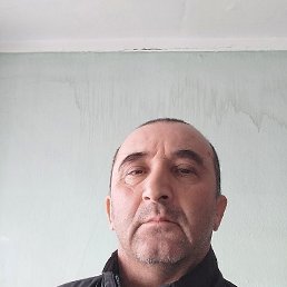, 51 , 
