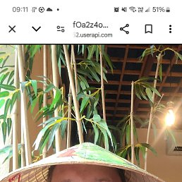 , 44, 