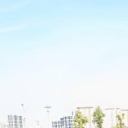 �������, 55 ���, ������
