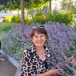 , 62, --