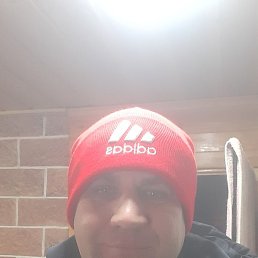 ������, ���������, 40 ���