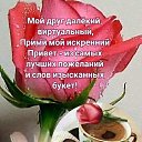 ���� ������, �����-��������� - ��������� 30 ������ 2026 � ������ ������ ��������