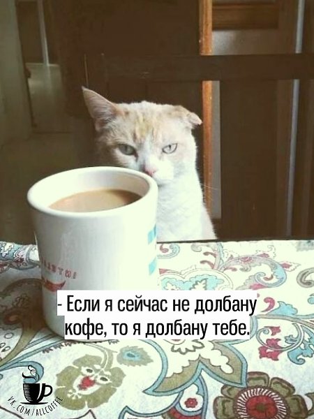  ,      :