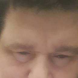 ���������, 41 ���, ��������