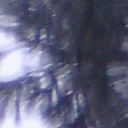 �������, ������, 49 ���