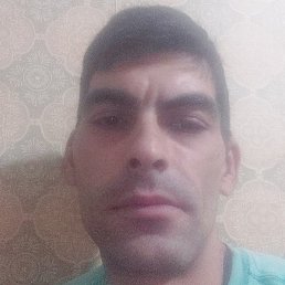 ���� ��������, ������, 37 ���