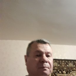 , 52, 