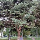 ������ 2025� �� ������� ���� ����������