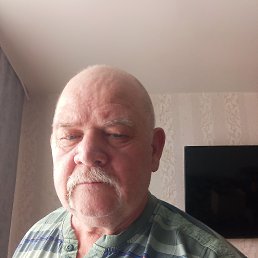 , 61, 