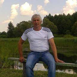 , 61, 