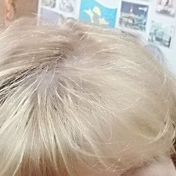 ����, ����������, 59 ���