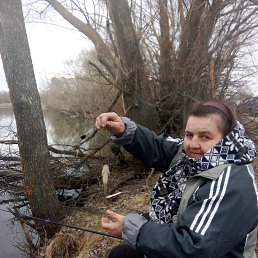 ���� ��������, ������, 55 ��� - ��������� 27 ���� 2025