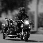 �����, 28 ���, ������