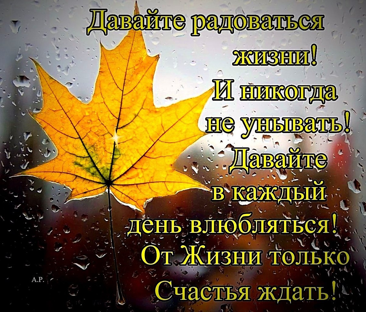 ПРИВЕТСТВИЯ и ПОЖЕЛАНИЯ, открытки на каждый день. - 16 октября 2025 в 18:15 - 2