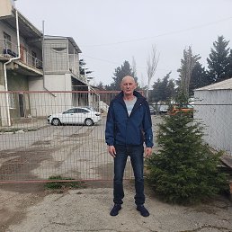 , 56, 