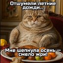 ���� ��������, ����� - ��������� 1 �������� 2025 � ������ ���� ����������