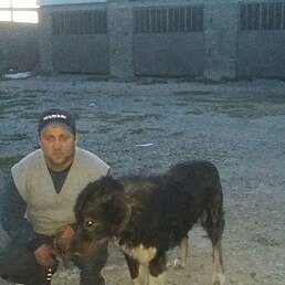 Artur, , 31 