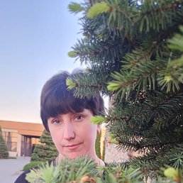 , 41, 