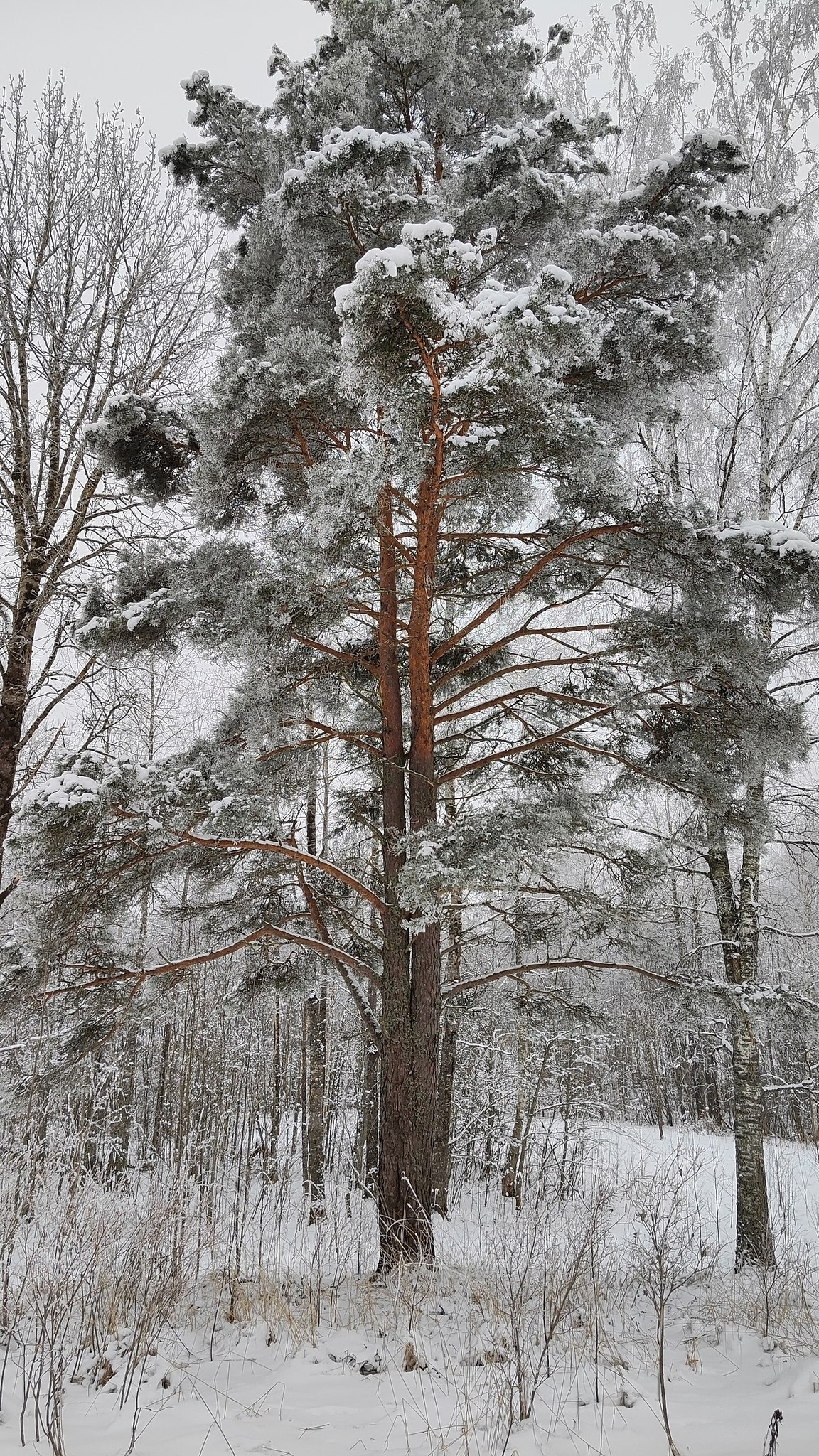   ! - 5