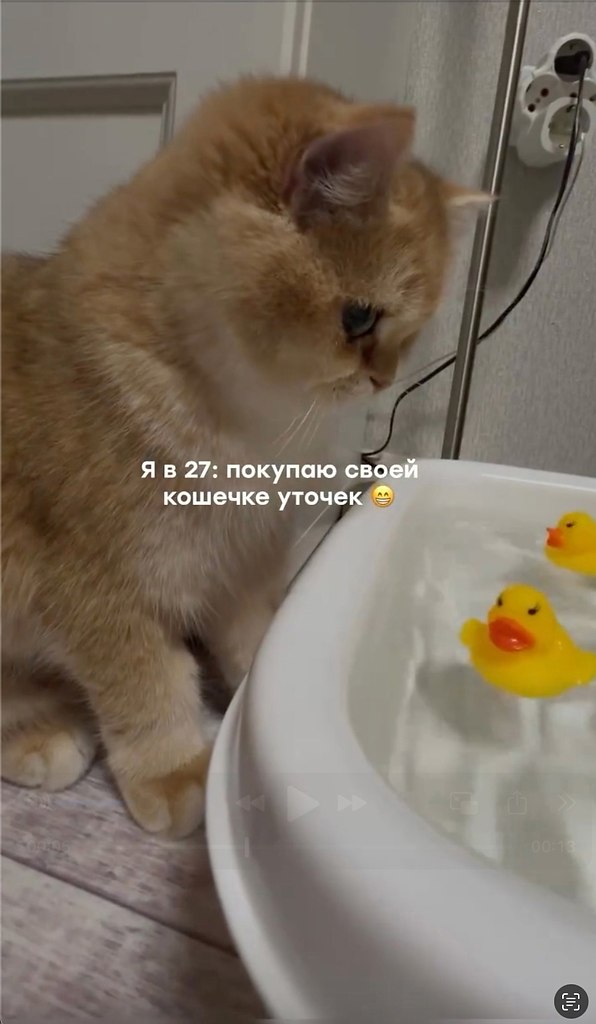     !