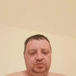 , 41, 