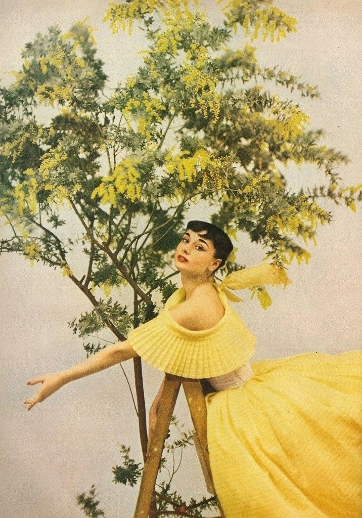    .  Harpers Bazaar, 1952 .