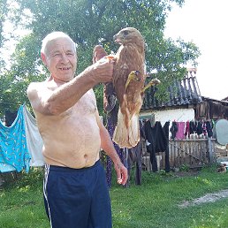 �������, 67 ���, ����